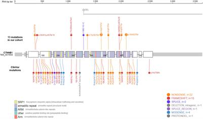 The extended clinical and genetic spectrum of CTNNB1-related neurodevelopmental disorder
